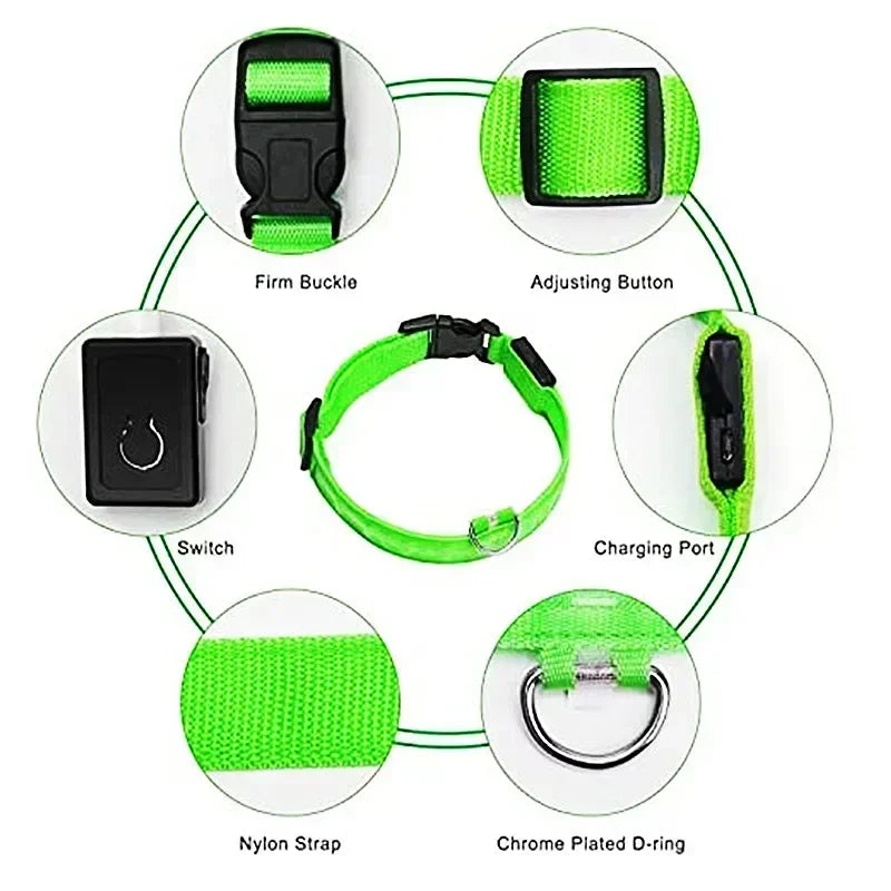Illuminate Your Evening Walks with Confidence!